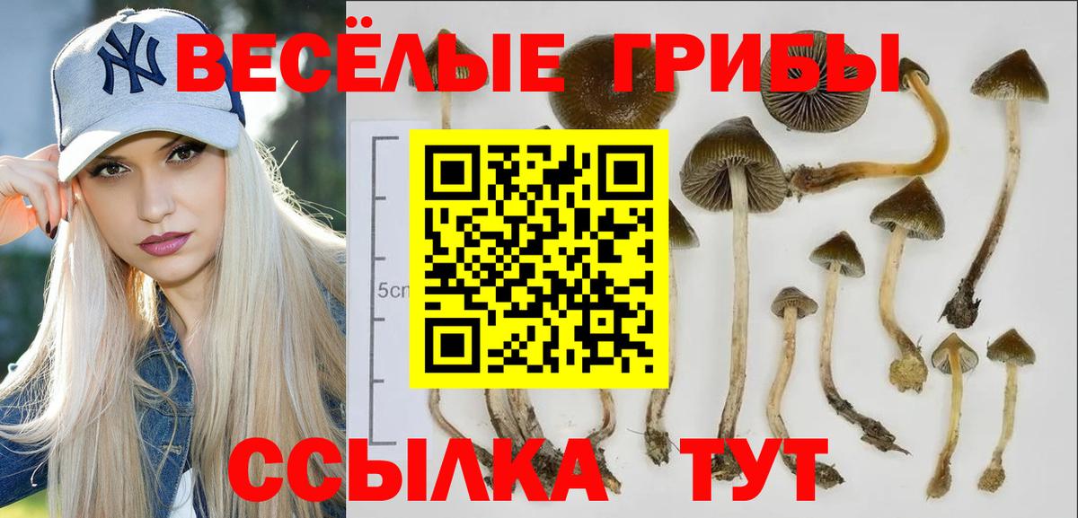 закладки  Галлюциногенные грибы Psilocybine cubensis  Ухта  Вход с VPN  Галлюциногенные грибы Psilocybine cubensis 